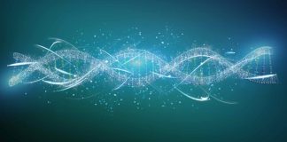 DNA from Denisovans, unidentified ancestor was passed down to humans living today (Science News) DNA from Denisovans, unidentified ancestor was passed down to humans living today (Science News)