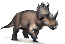 Dinosaur diagnosed with bone cancer, says new research Dinosaur diagnosed with bone cancer, says new research