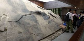 Incredible fossil reveals final meal of massive marine carnivore Incredible fossil reveals final meal of massive marine carnivore