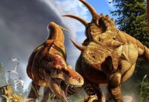 New Study shows how medicine can benefit from dinosaur research New Study shows how medicine can benefit from dinosaur research