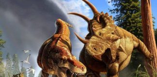 New Study shows how medicine can benefit from dinosaur research New Study shows how medicine can benefit from dinosaur research