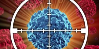 Report: GentiBio launches to develop engineered regulatory T cells for autoimmune and inflammatory diseases Report: GentiBio launches to develop engineered regulatory T cells for autoimmune and inflammatory diseases