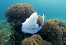 Report: Surface clean-up technology won’t solve ocean plastic problem Report: Surface clean-up technology won't solve ocean plastic problem