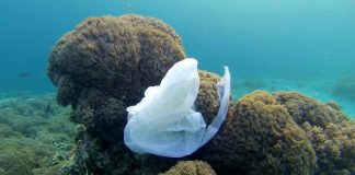 Report: Surface clean-up technology won’t solve ocean plastic problem Report: Surface clean-up technology won't solve ocean plastic problem