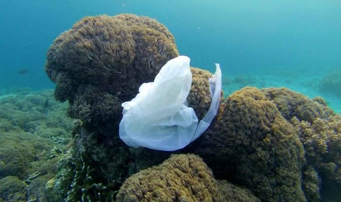 Report: Surface clean-up technology won't solve ocean plastic problem