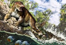 Researchers discover prehistoric 43ft crocodile with more powerful bite than T-Rex Researchers discover prehistoric 43ft crocodile with more powerful bite than T-Rex