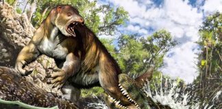 Researchers discover prehistoric 43ft crocodile with more powerful bite than T-Rex Researchers discover prehistoric 43ft crocodile with more powerful bite than T-Rex