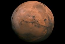 Researchers find that bacteria can survive the journey from Earth to Mars Researchers find that bacteria can survive the journey from Earth to Mars
