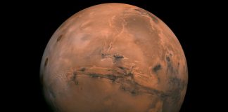 Researchers find that bacteria can survive the journey from Earth to Mars Researchers find that bacteria can survive the journey from Earth to Mars