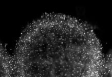 Researchers get atomistic picture of platinum catalyst degradation Researchers get atomistic picture of platinum catalyst degradation