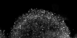 Researchers get atomistic picture of platinum catalyst degradation Researchers get atomistic picture of platinum catalyst degradation
