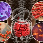 Scientists discover the microbiome’s role in attacking cancerous tumors Scientists discover the microbiome's role in attacking cancerous tumors