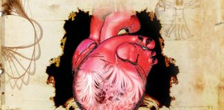 Scientists solve Leonardo da Vinci’s 500-year-old human heart mystery Scientists solve Leonardo da Vinci’s 500-year-old human heart mystery