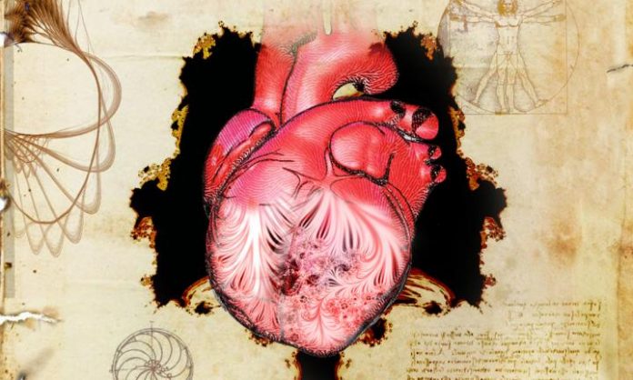 Scientists solve Leonardo da Vinci’s 500-year-old human heart mystery