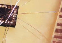 Study: AI automatic tuning delivers step forward in Quantum computing Study: AI automatic tuning delivers step forward in Quantum computing