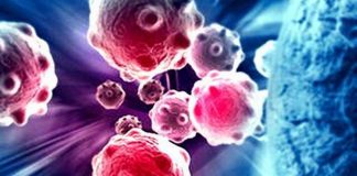 Study: Blood cancer patients are most vulnerable to COVID-19 Study: Blood cancer patients are most vulnerable to COVID-19