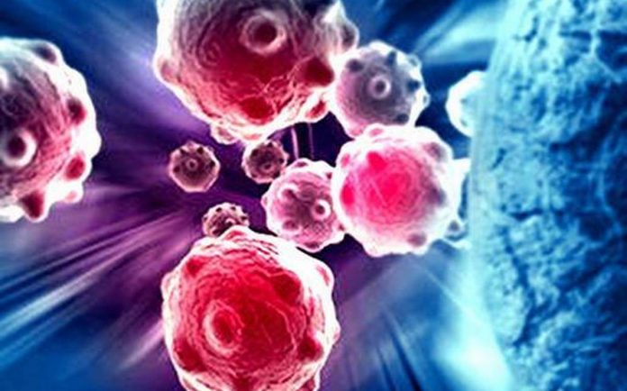 Study: Blood cancer patients are most vulnerable to COVID-19