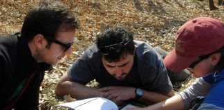 Study: Fossils reveal diversity of animal life roaming Europe two million years ago Study: Fossils reveal diversity of animal life roaming Europe two million years ago
