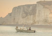 Study: How fish stocks will change in warming seas Study: How fish stocks will change in warming seas