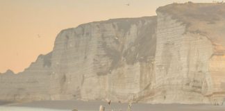 Study: How fish stocks will change in warming seas Study: How fish stocks will change in warming seas