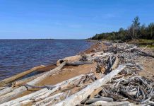 Swimmer’s itch cases suspected at Hay River Territorial park beach Swimmer’s itch cases suspected at Hay River Territorial park beach