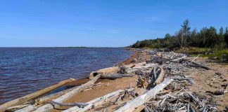 Swimmer’s itch cases suspected at Hay River Territorial park beach Swimmer’s itch cases suspected at Hay River Territorial park beach