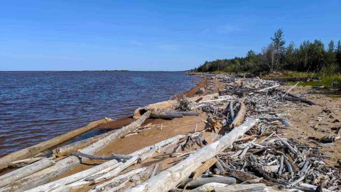 Swimmer’s itch cases suspected at Hay River Territorial park beach