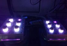 Biochemistry: DNA damage caused by migrating light energy Biochemistry: DNA damage caused by migrating light energy