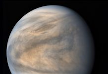 Could there be life on Venus? Paul Davies considers the possibilities Could there be life on Venus? Paul Davies considers the possibilities
