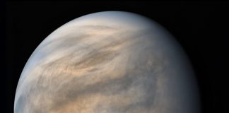 Could there be life on Venus? Paul Davies considers the possibilities Could there be life on Venus? Paul Davies considers the possibilities