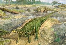 First complete dinosaur skeleton, found in 1858, finally gets its due Social Sharing First complete dinosaur skeleton, found in 1858, finally gets its due Social Sharing