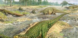 First complete dinosaur skeleton, found in 1858, finally gets its due Social Sharing First complete dinosaur skeleton, found in 1858, finally gets its due Social Sharing