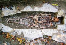 New Viking DNA study yields unexpected information about who they were New Viking DNA study yields unexpected information about who they were