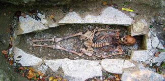 New Viking DNA study yields unexpected information about who they were New Viking DNA study yields unexpected information about who they were