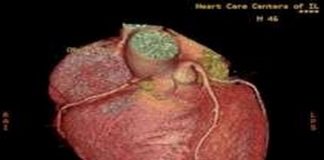 Research may explain why hormone therapy slows progression of heart disease Research may explain why hormone therapy slows progression of heart disease