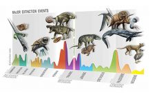 Researchers find evidence of new mass extinction 233 million years ago Researchers find evidence of new mass extinction 233 million years ago