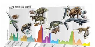 Researchers find evidence of new mass extinction 233 million years ago Researchers find evidence of new mass extinction 233 million years ago