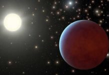Scientist searches for stellar phosphorus to find potentially habitable exoplanets Scientist searches for stellar phosphorus to find potentially habitable exoplanets