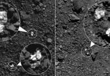 Scientists Spot Bits of Entirely Different Asteroid on Surface of Bennu Scientists Spot Bits of Entirely Different Asteroid on Surface of Bennu
