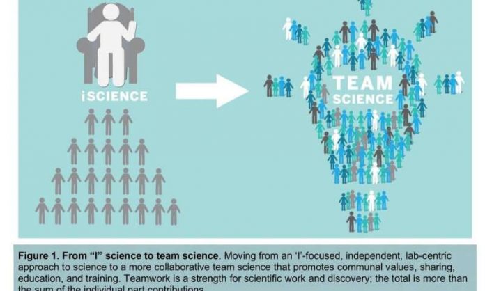 Scientists trace the outlines of two cultures within science