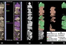 Study: Great Barrier Reef ‘glue’ at risk from ocean acidification Study: Great Barrier Reef 'glue' at risk from ocean acidification