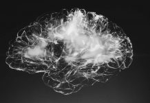 Study: New Data Processing Module Makes Deep Neural Networks Smarter Study: New Data Processing Module Makes Deep Neural Networks Smarter