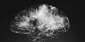 Study: New Data Processing Module Makes Deep Neural Networks Smarter Study: New Data Processing Module Makes Deep Neural Networks Smarter