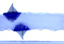 Watch: Toy boats float upside down underneath a layer of levitated liquid Watch: Toy boats float upside down underneath a layer of levitated liquid