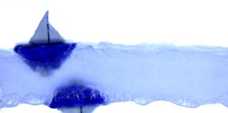 Watch: Toy boats float upside down underneath a layer of levitated liquid Watch: Toy boats float upside down underneath a layer of levitated liquid