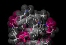 80-year-old antibiotic redesigned for new medical uses (TDnews)