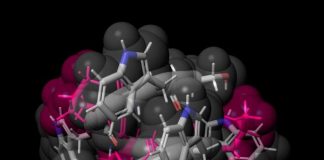 80-year-old antibiotic redesigned for new medical uses (TDnews)