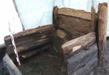 A tale of two cesspits: DNA reveals intestinal health in Medieval Europe and Middle East (TDnews)