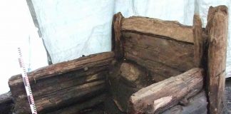 A tale of two cesspits: DNA reveals intestinal health in Medieval Europe and Middle East (TDnews)
