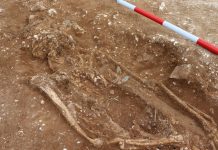 Anglo-Saxon warlord found by detectorists could redraw map of post-Roman Britain (TDnews)